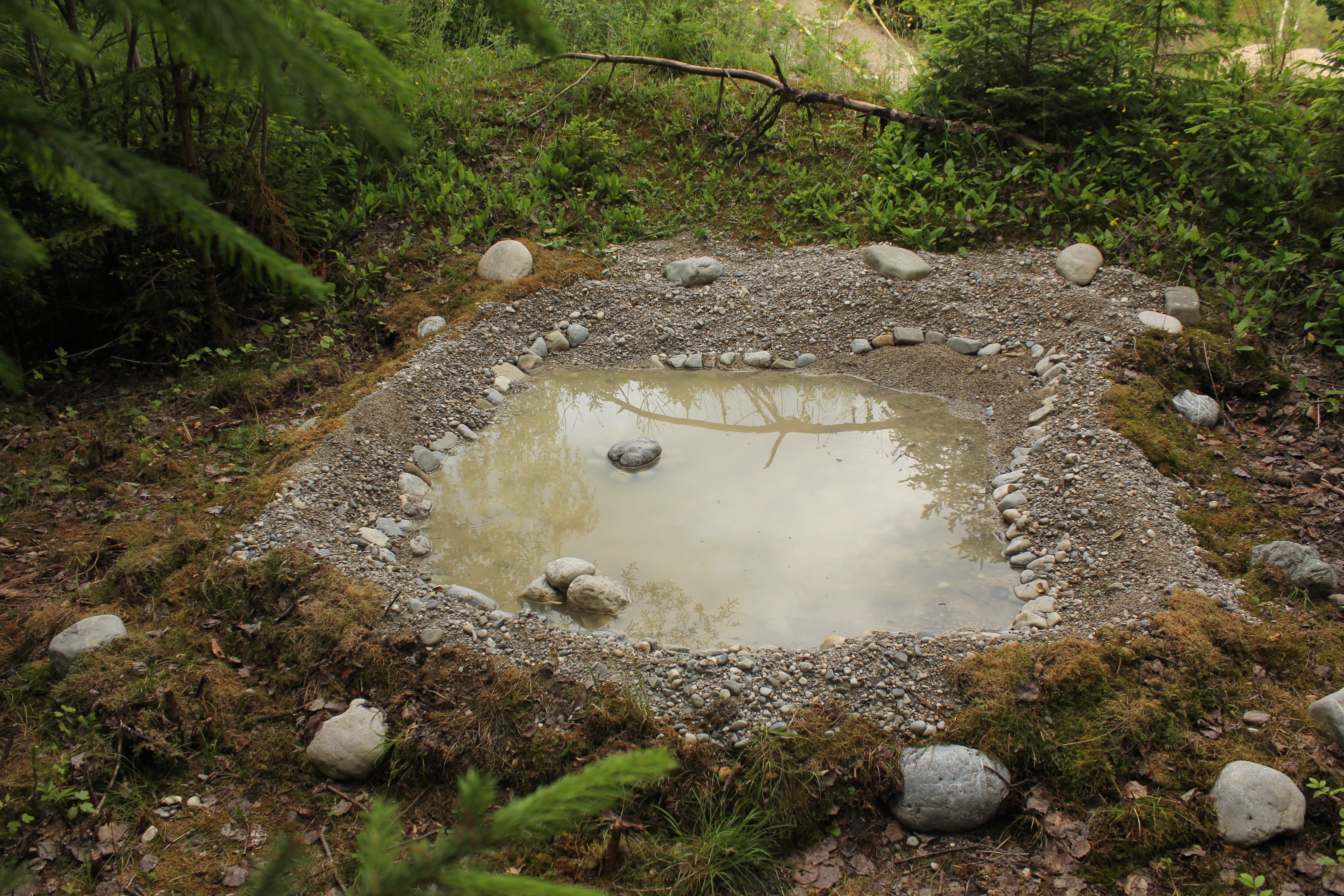 Das neue Laichgewässer, ca. 2x2 m